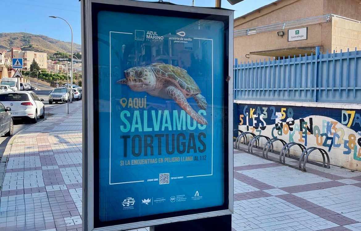 Rincón de la Victoria se suma un año más a la campaña de concienciación medioambiental `Aquí salvamos tortugas´